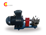 不鏽鋼保溫齒輪泵