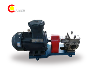 不鏽鋼保溫（wēn）齒輪泵