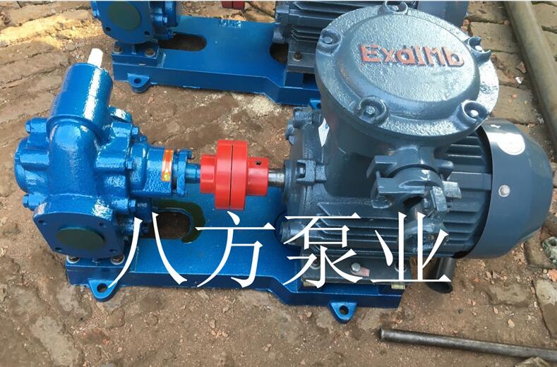 KCB銅（tóng）齒（chǐ）輪（lún）-防爆齒輪泵-KCB防（fáng）爆齒輪泵