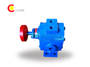 LQB瀝（lì）青保溫（wēn）泵-LQB保溫泵