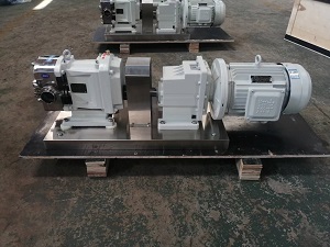 不鏽鋼（gāng）轉子泵-不鏽鋼食（shí）品轉子泵