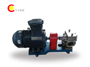 不鏽鋼瀝青保溫（wēn）泵-不鏽鋼保溫泵