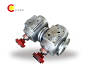 不鏽鋼（gāng）保溫泵-YCB不鏽鋼保溫泵