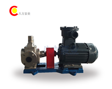 不鏽鋼圓弧齒輪油泵-YCB不鏽鋼齒輪油泵