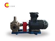 不鏽鋼圓弧齒輪油泵-YCB不鏽鋼齒輪油泵