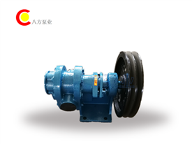 稠油泵-CB稠油（yóu）泵