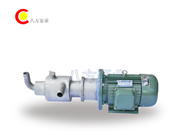 WG螺杆泵-不鏽鋼螺杆泵-微型螺杆（gǎn）泵