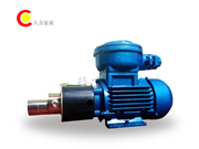 WXF不鏽鋼齒輪泵-微型不鏽鋼齒輪（lún）泵-微型齒輪（lún）泵