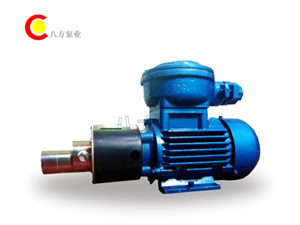 WXF不鏽鋼齒輪泵-微型不鏽鋼（gāng）齒輪泵-微型齒（chǐ）輪泵