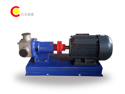 轉子泵-撓性轉子泵