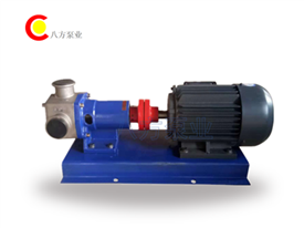 轉子泵-撓（náo）性轉子泵