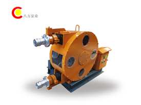 RGB軟管泵（bèng）-工業（yè）軟管泵