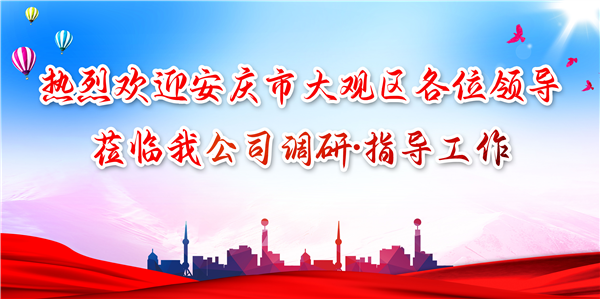 安慶市大觀區領導（dǎo）蒞（lì）臨我公司調研工作，為發展注（zhù）入（rù）新動力